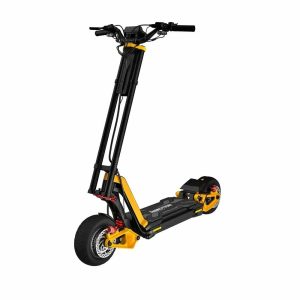 Buy InMotion RS Scooter