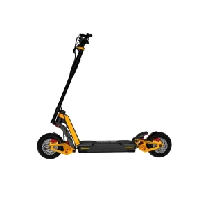 Buy InMotion RS Scooter
